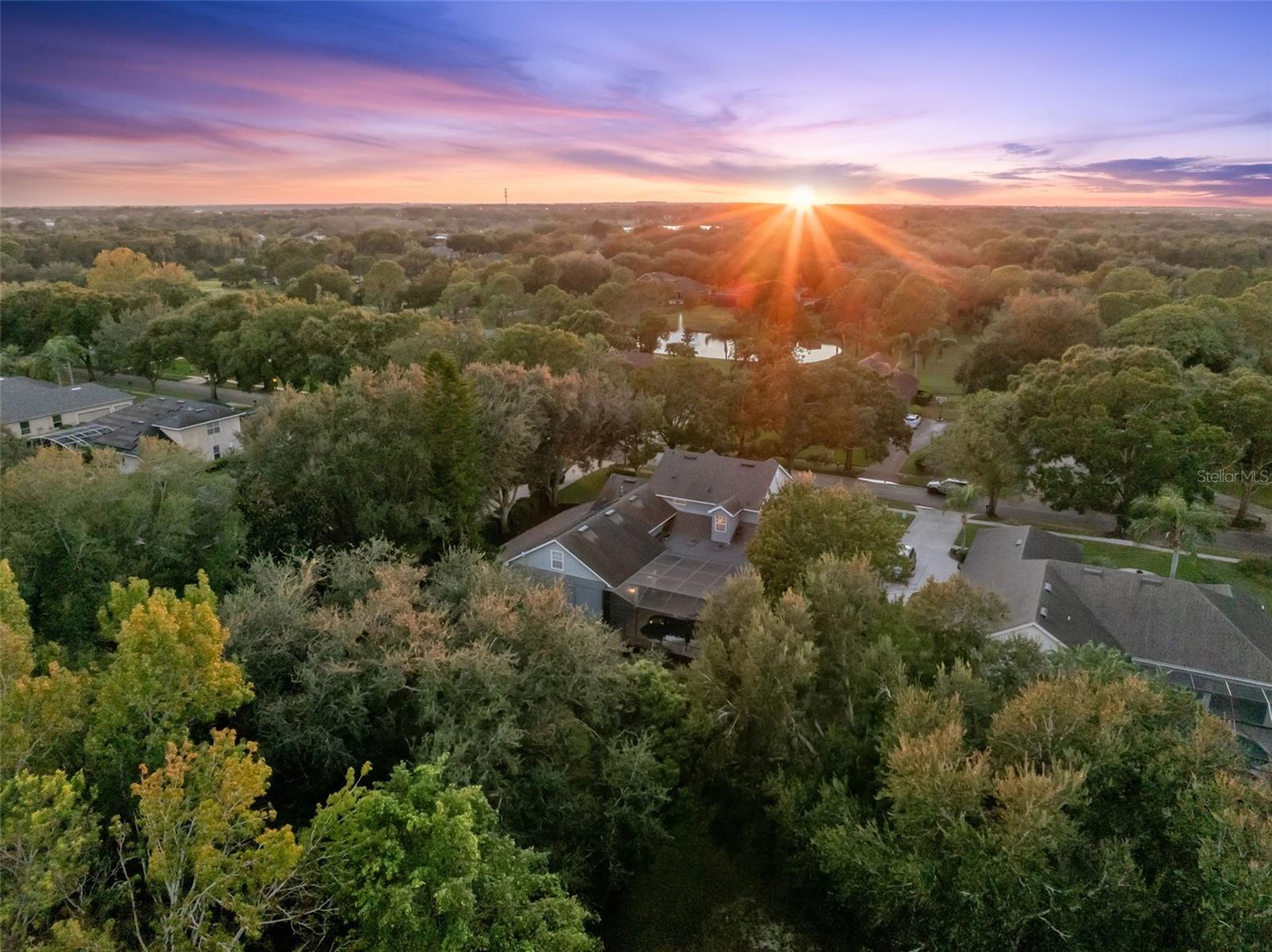 ESTATES AT WINDERMERE - Residential