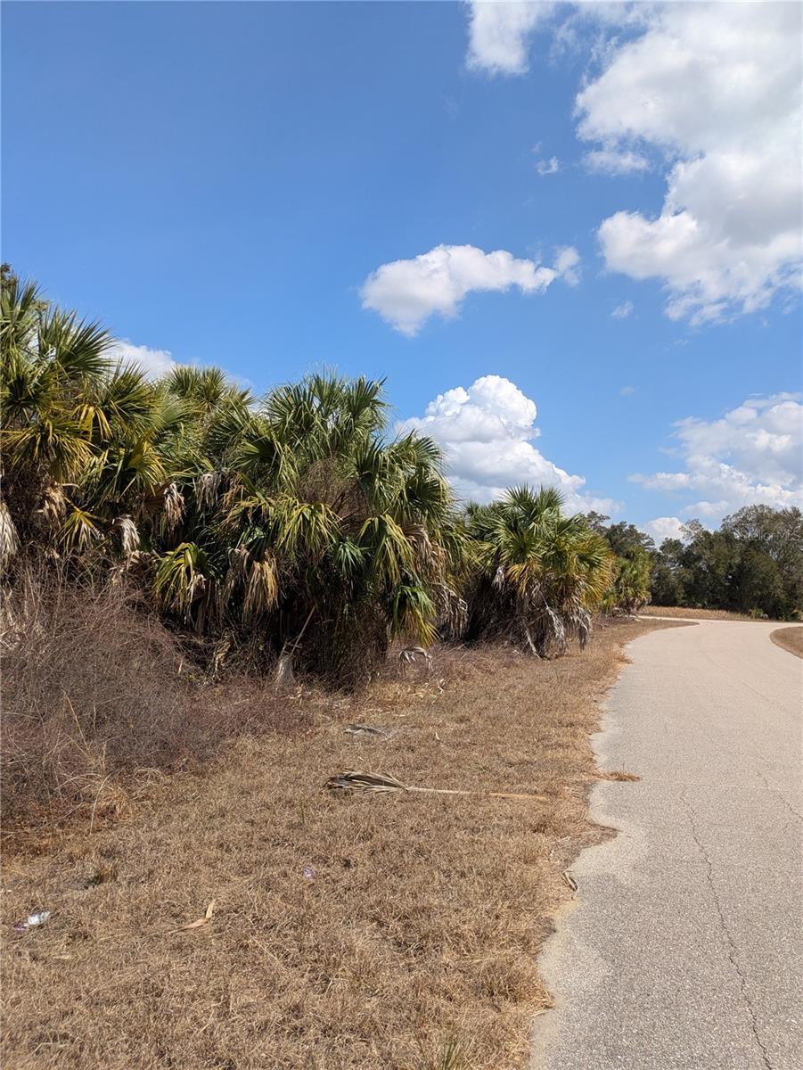 PORT CHARLOTTE SUB 44 - Land