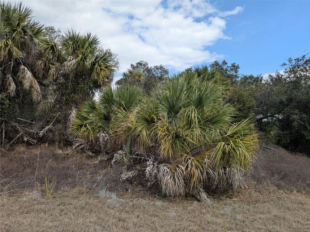 Photo of Casco Circle, North Port, FL 34288 (MLS # C7522336)