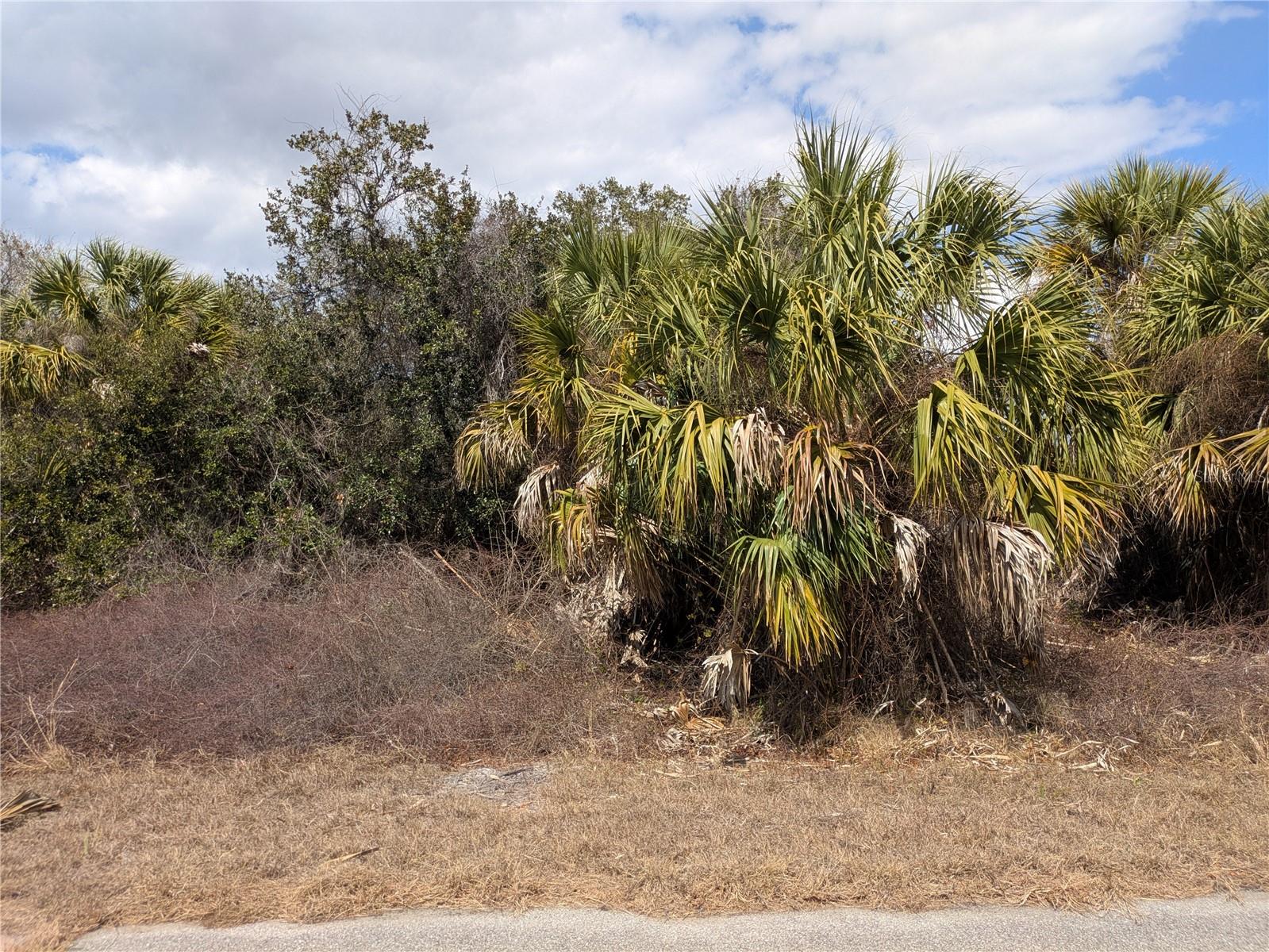 PORT CHARLOTTE SUB 44 - Land