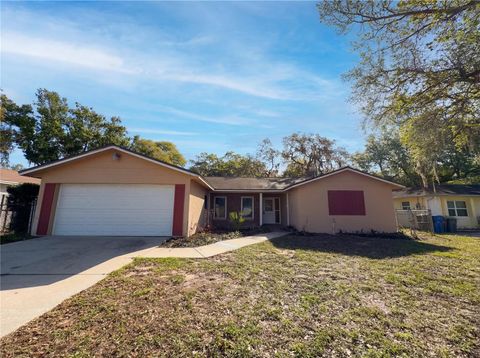 Photo of 1203 Bristolwood Street, Brandon, FL 33510 (MLS # O6391898)