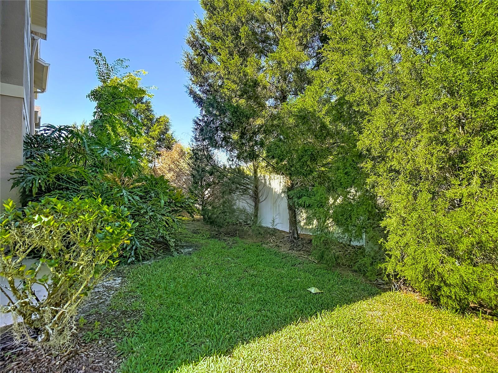 SADDLE CREEK MANOR - Residential