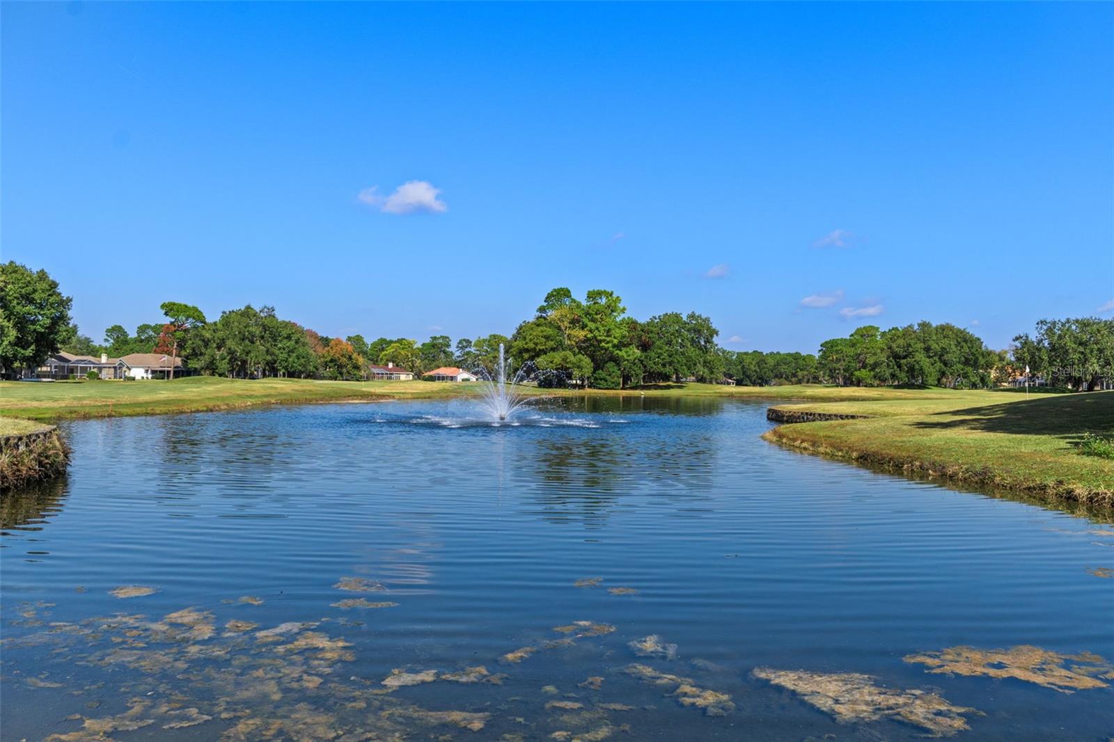 SILVERTHORN PH 1 - Commercial Sale