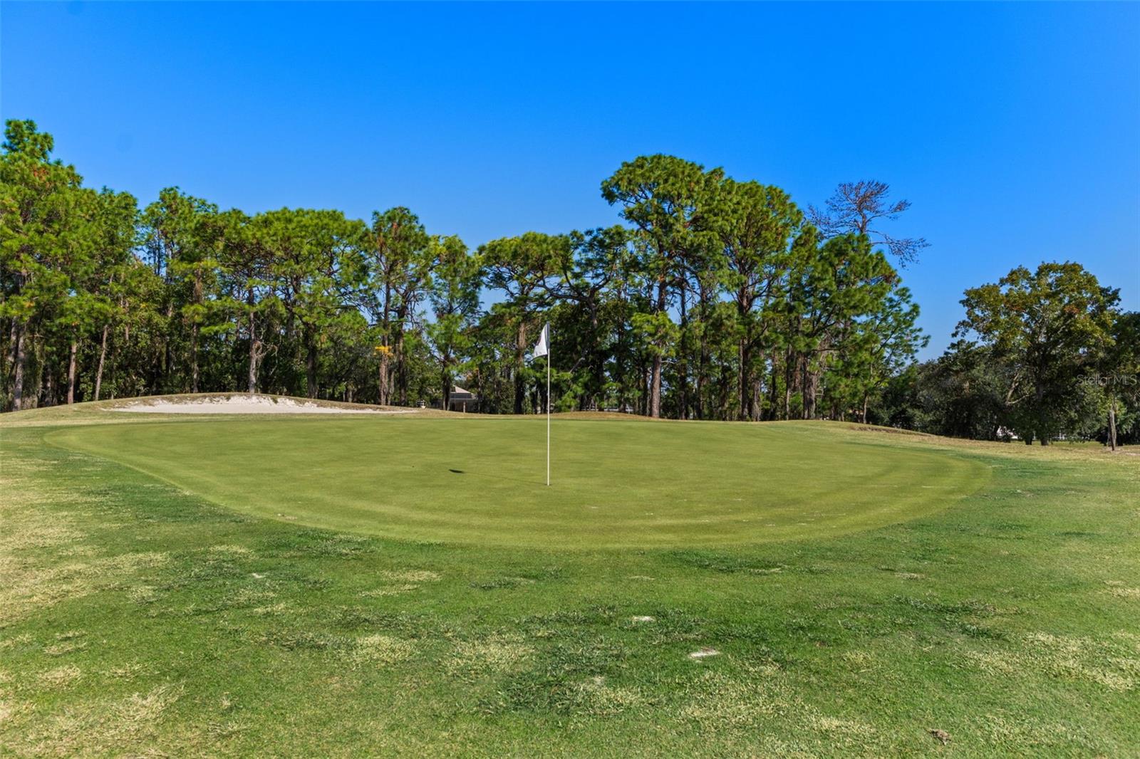 SILVERTHORN PH 1 - Commercial Sale