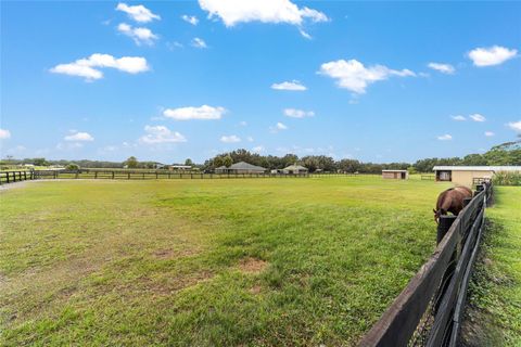 Tiny photo for 19630 SE 15th Place, Morriston, FL 32668 (MLS # OM710566)