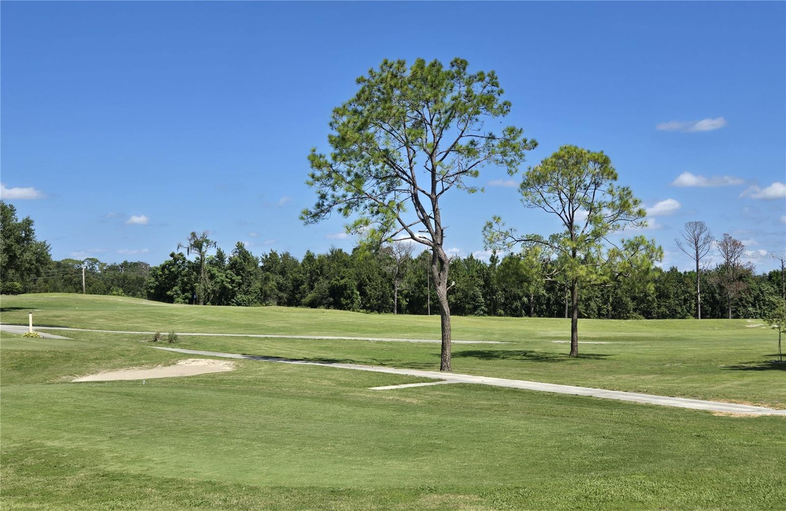 ZELLWOOD STATION COOP MH PARK - Residential