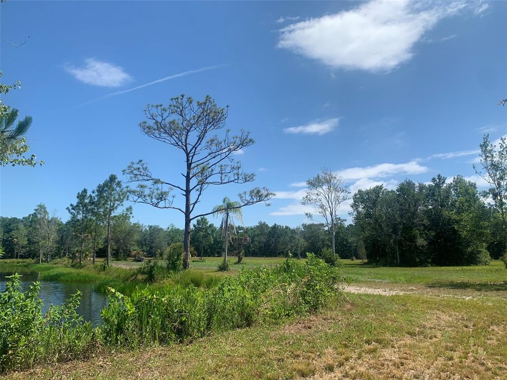 BROWN WOOD ACRES - Land