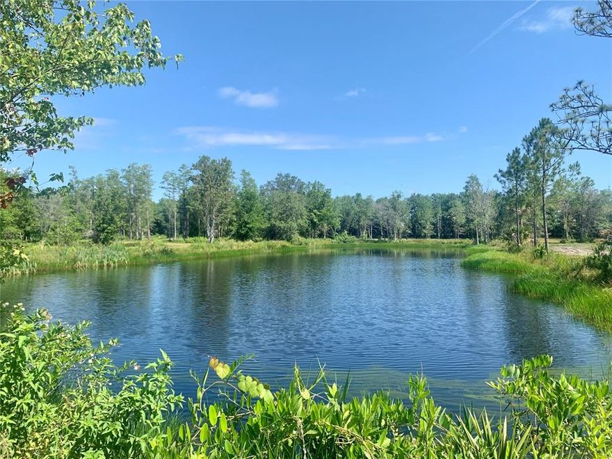 Residential development opportunity – 3 parcels for 25.1 acres.
Beautiful property just rezoned for up to 8 units/acre.
Just south S Orange Blossom Trail off highly desirable Ham Brown Rd.
Water & sewer on Ham Brown Rd.
County recently re-paved Freedom Rd.
2 man-made ponds on property.
Potential for additional acreage.