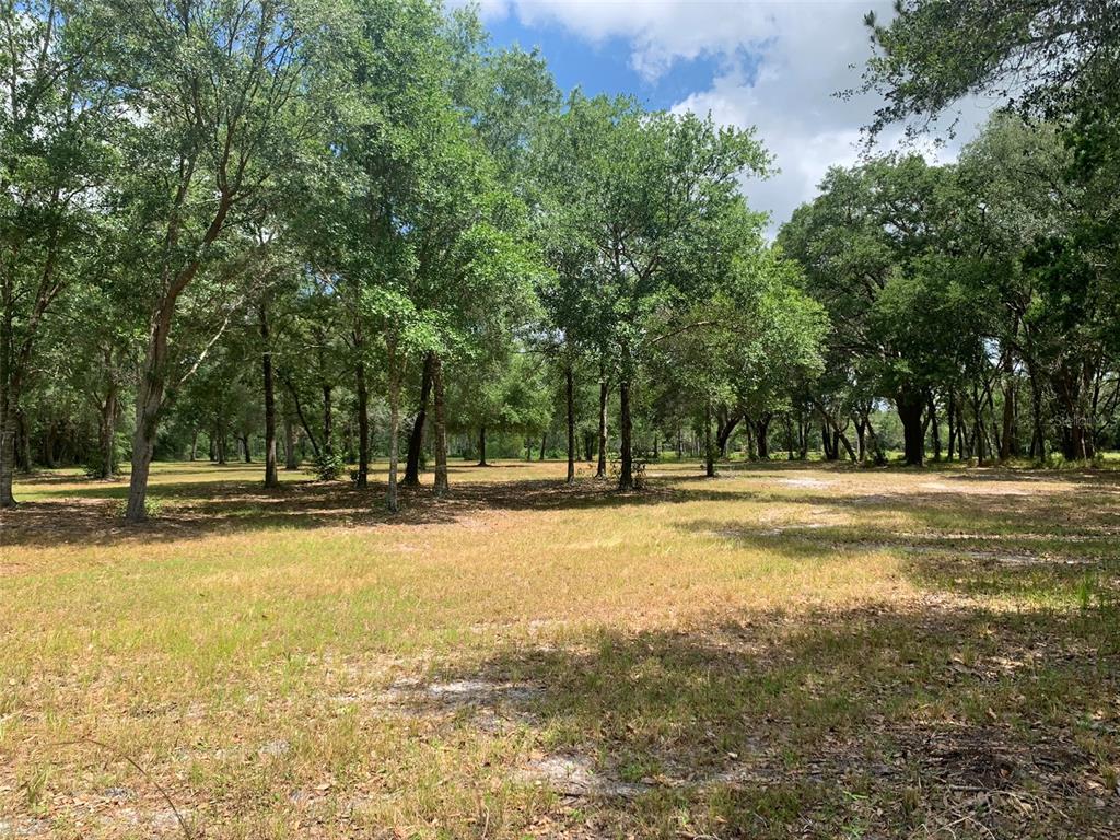 BROWN WOOD ACRES - Land