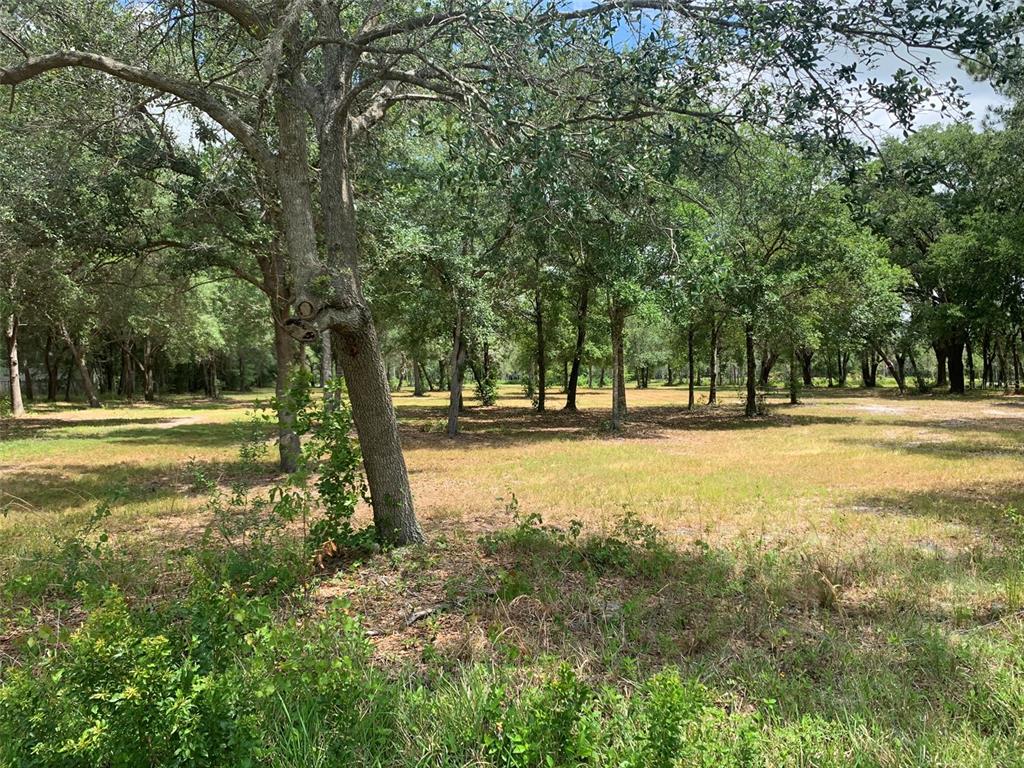 BROWN WOOD ACRES - Land