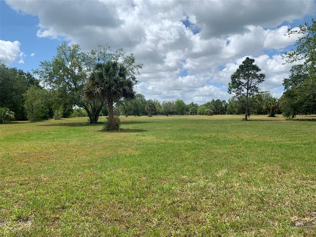 BROWN WOOD ACRES - Land