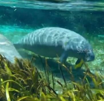 TOWN PARK AT THE WILDERNESS RV PARK ESTATES - Land