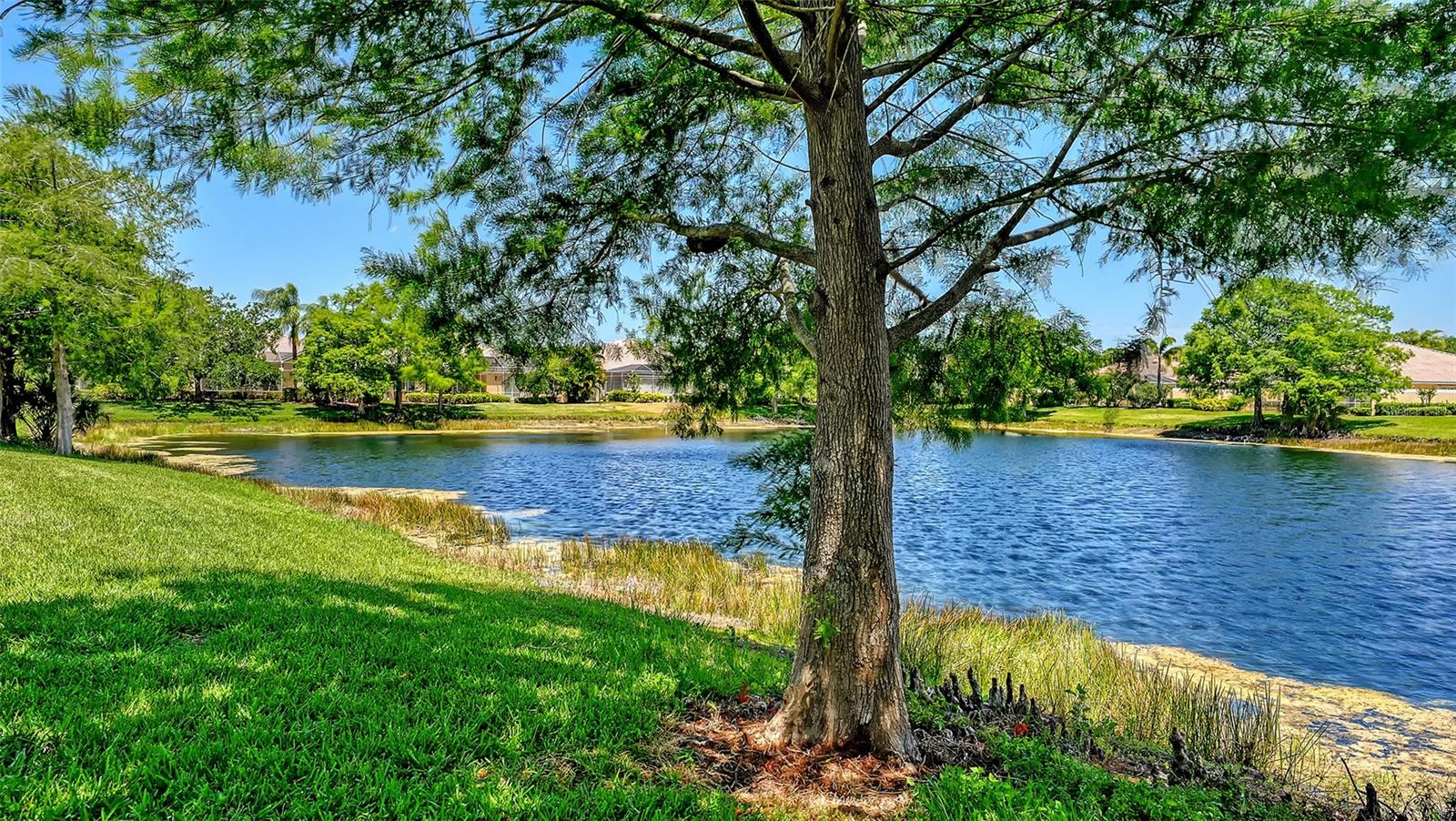 VILLAGEWALK - Residential