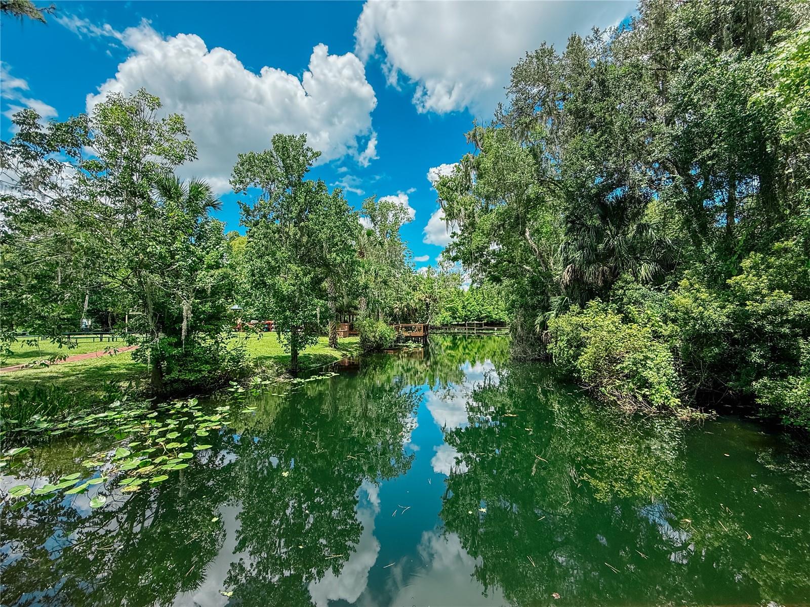 SWEETWATER SPGS - Residential