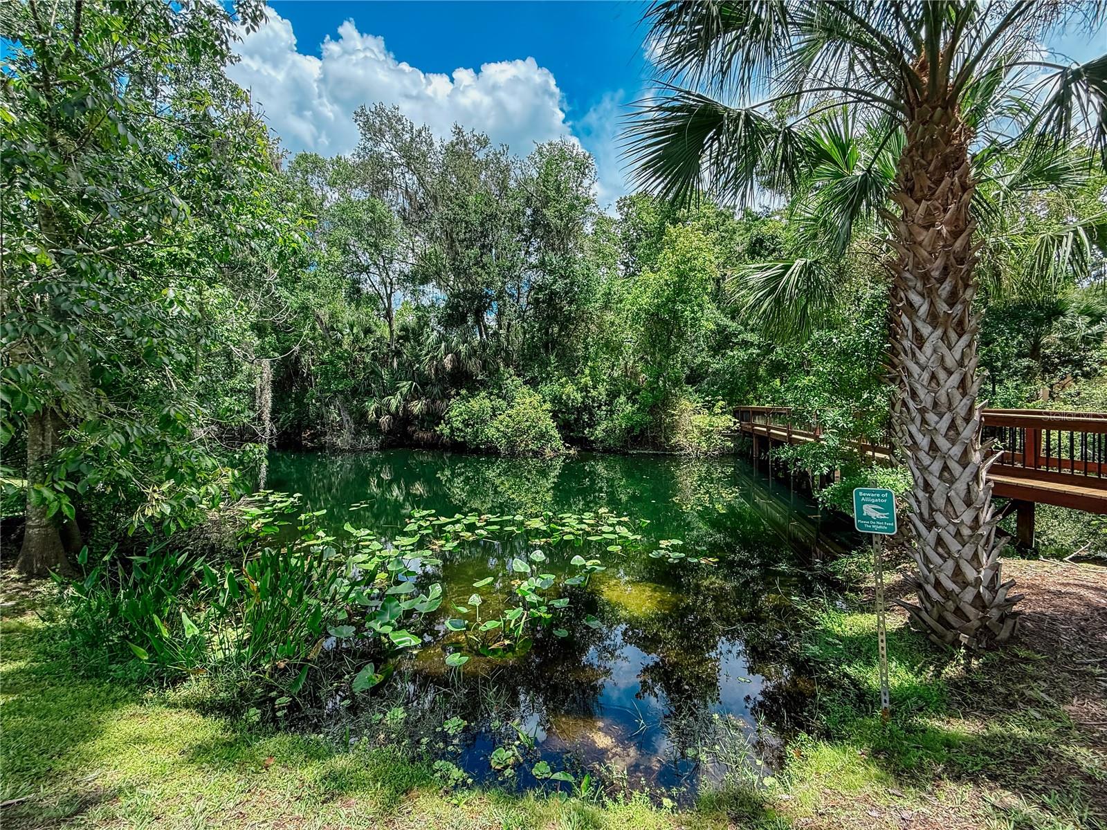 SWEETWATER SPGS - Residential