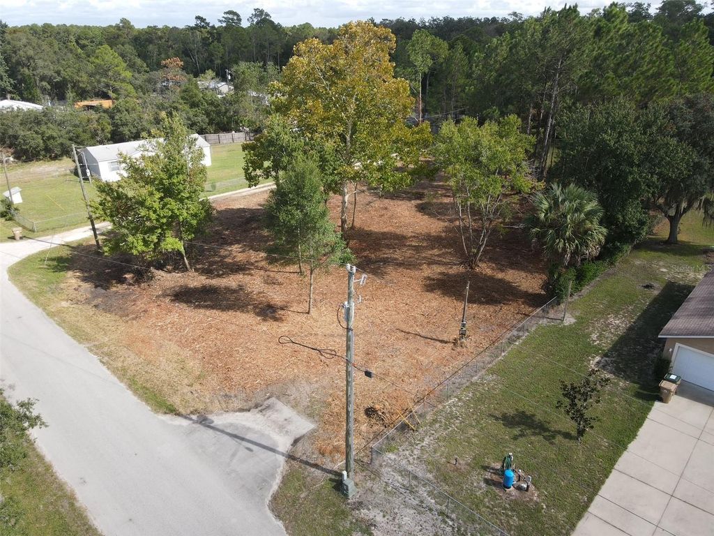 Photo of 28802 Hibiscus Avenue, Paisley, FL 32767 (MLS # G5102830)