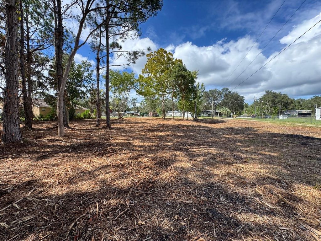 Photo of 28802 Hibiscus Avenue, Paisley, FL 32767 (MLS # G5102830)