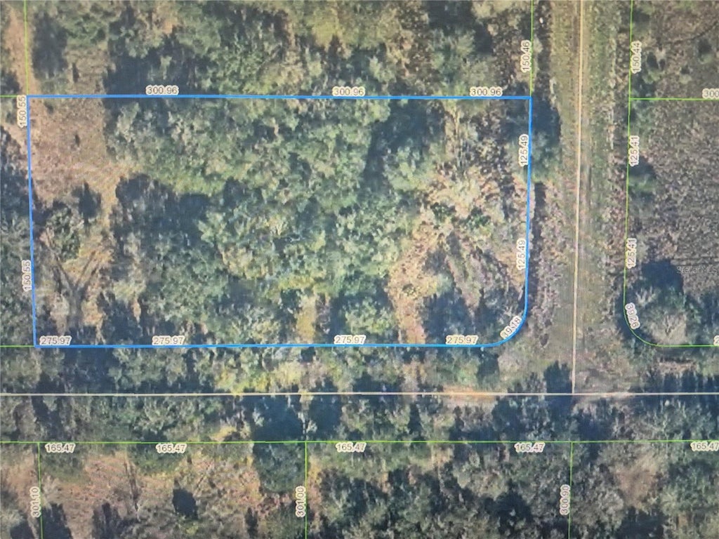 Photo of 3300 W Tannen Road, Avon Park, FL 33825 (MLS # O6437394)