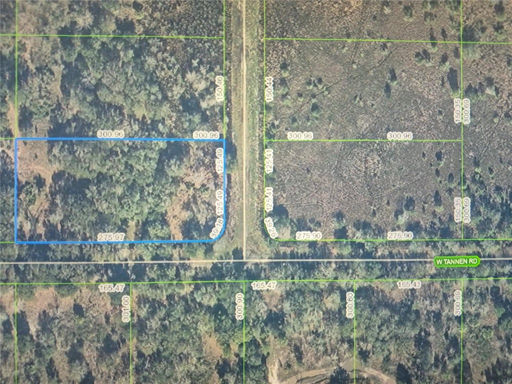 Photo of 3300 W Tannen Road, Avon Park, FL 33825 (MLS # O6437394)