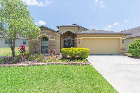 A home in WESLEY CHAPEL