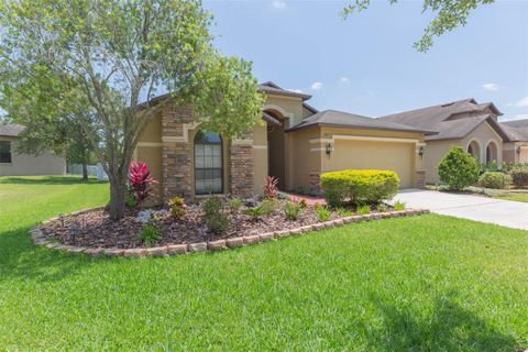 A home in WESLEY CHAPEL