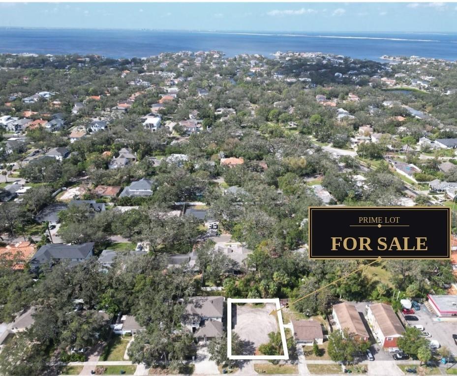 Photo of 3013 S Manhattan Avenue, Tampa, FL 33629 (MLS # O6436761)