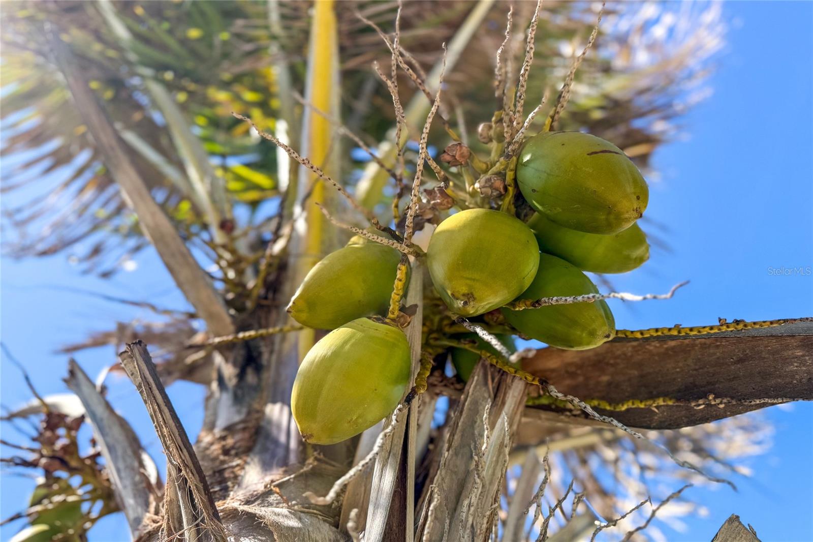 HOLIDAY TRAVEL PARK ENGLEWOOD - Residential