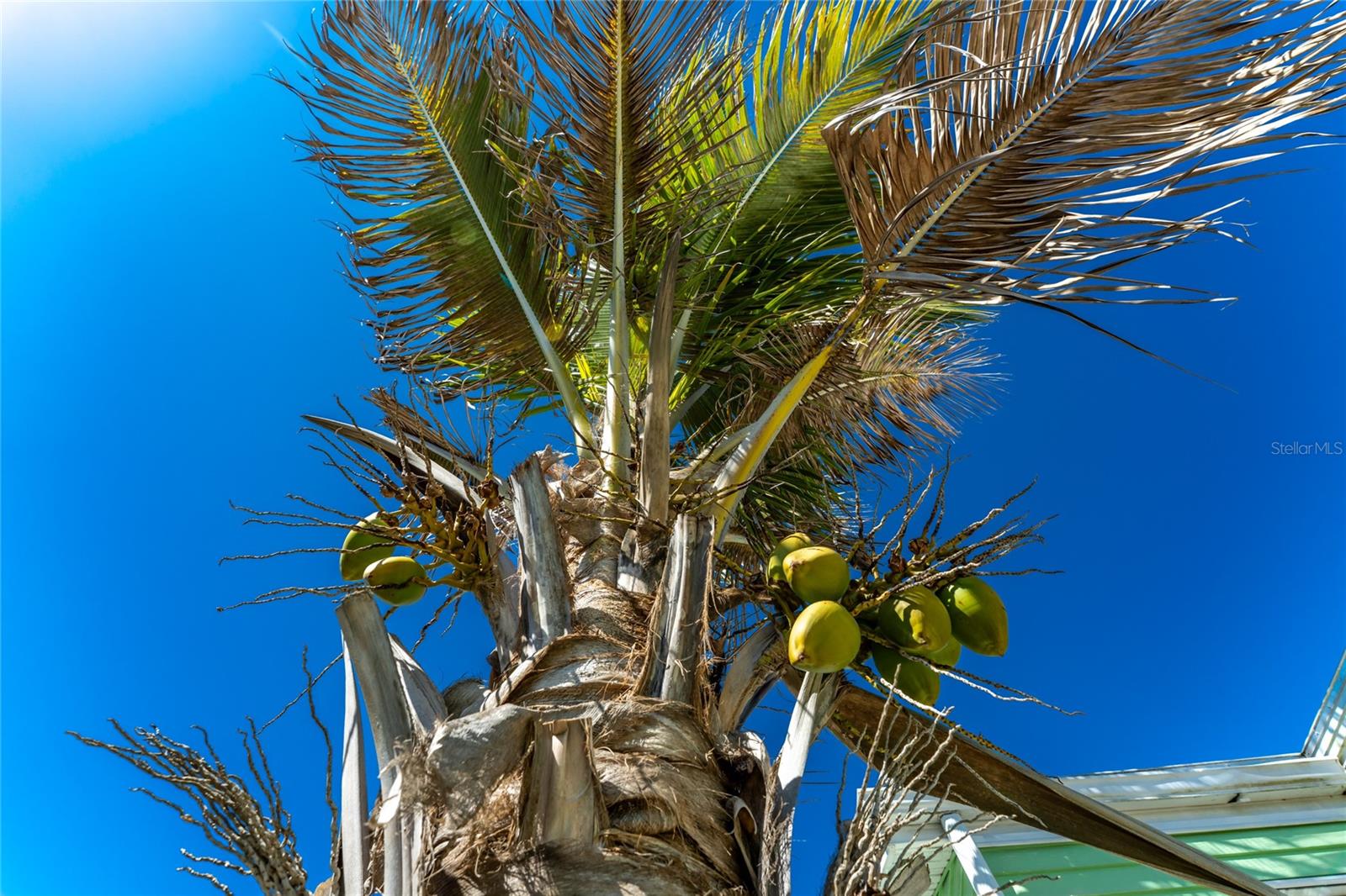 HOLIDAY TRAVEL PARK ENGLEWOOD - Residential