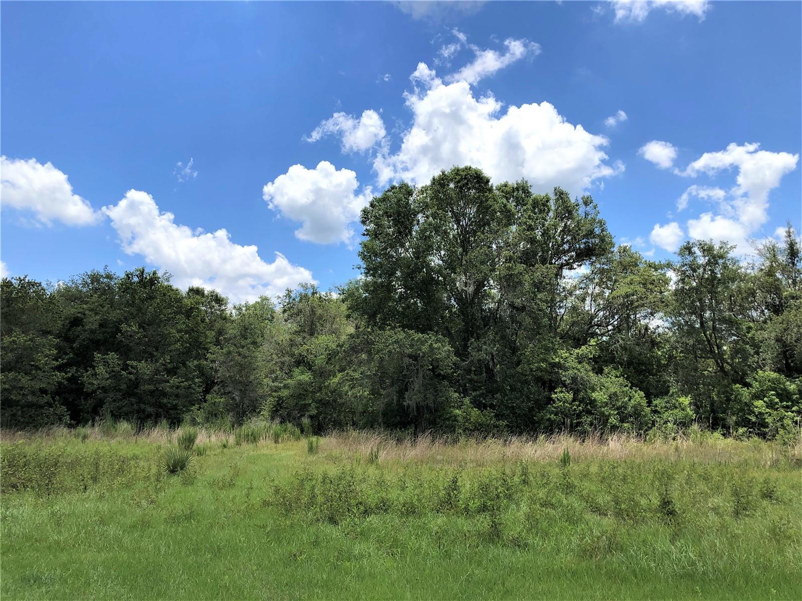 FASSON PLATTED SUB - Land