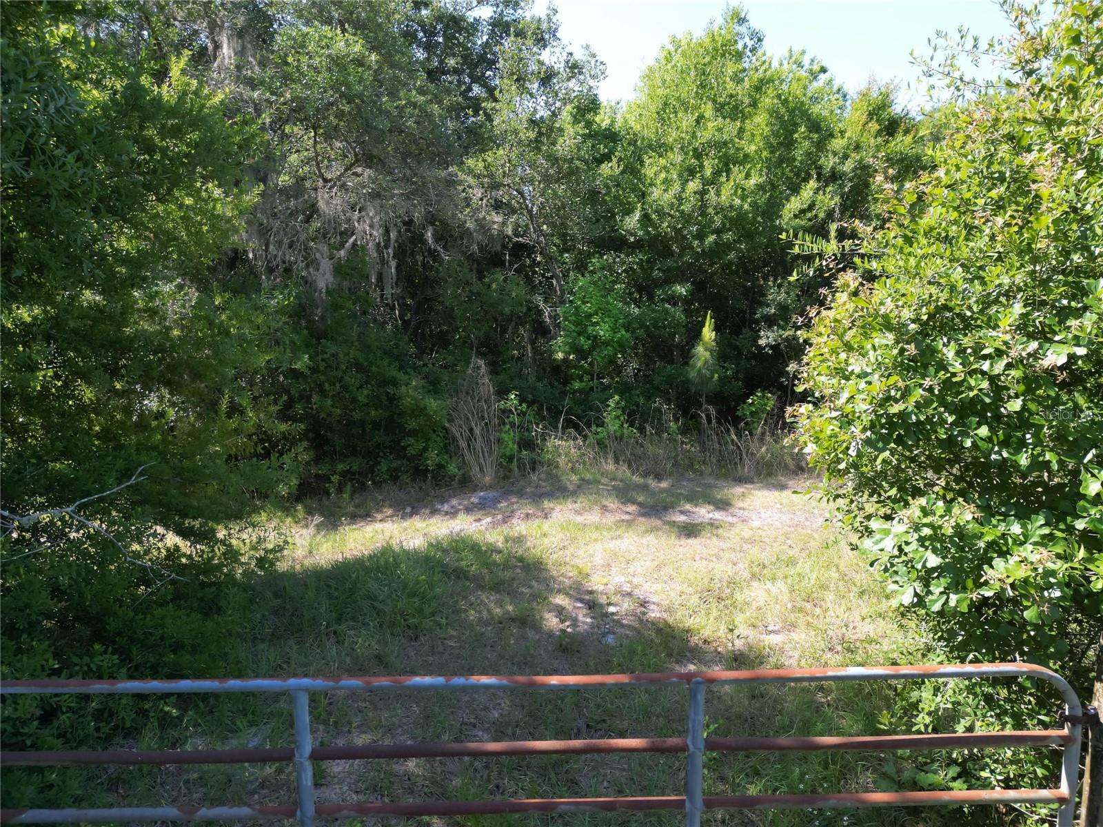 FASSON PLATTED SUB - Land