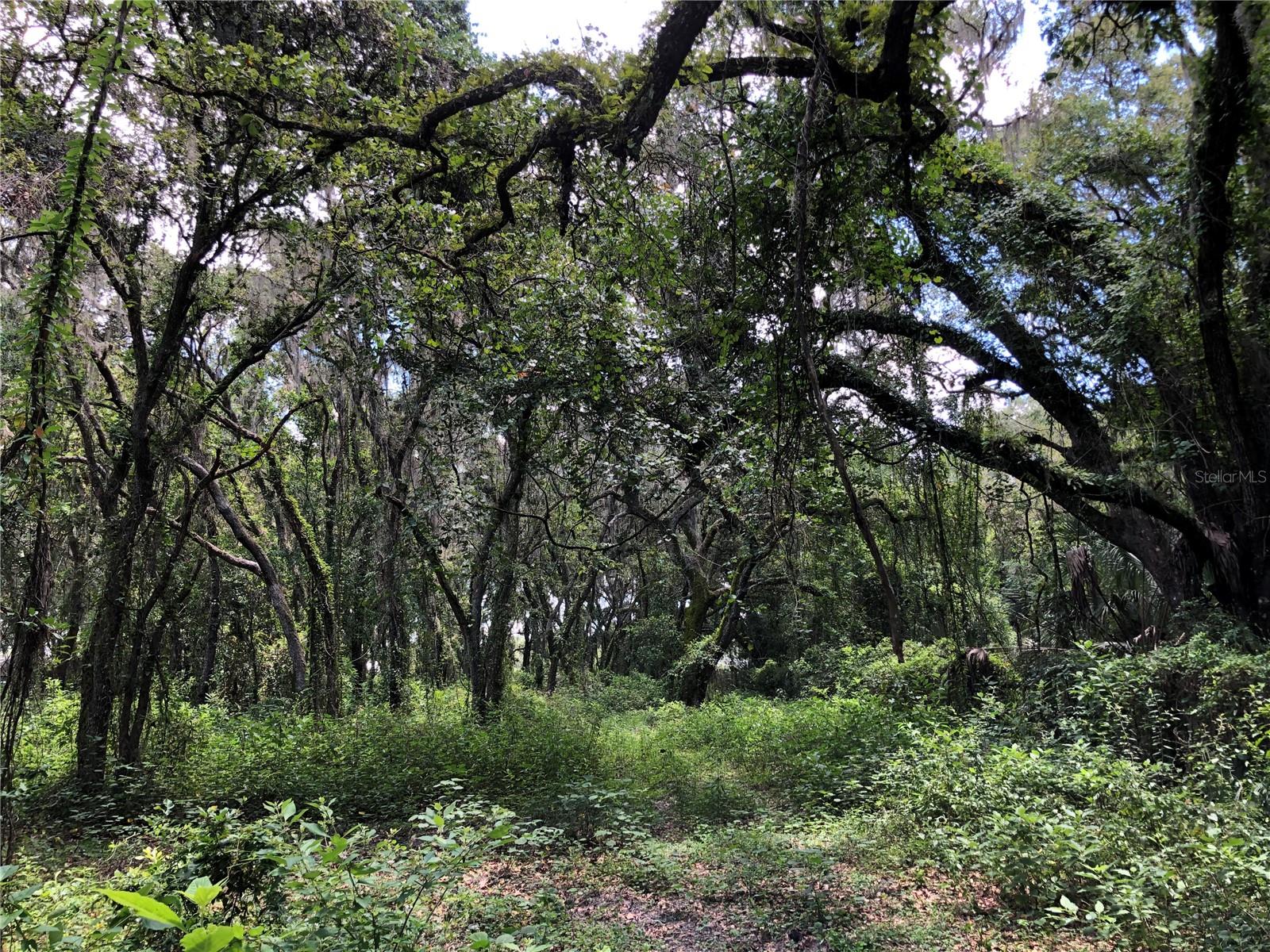 FASSON PLATTED SUB - Land