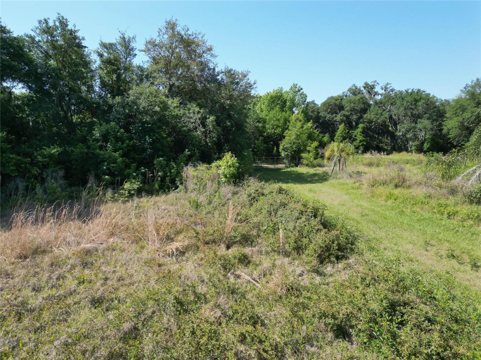 FASSON PLATTED SUB - Land