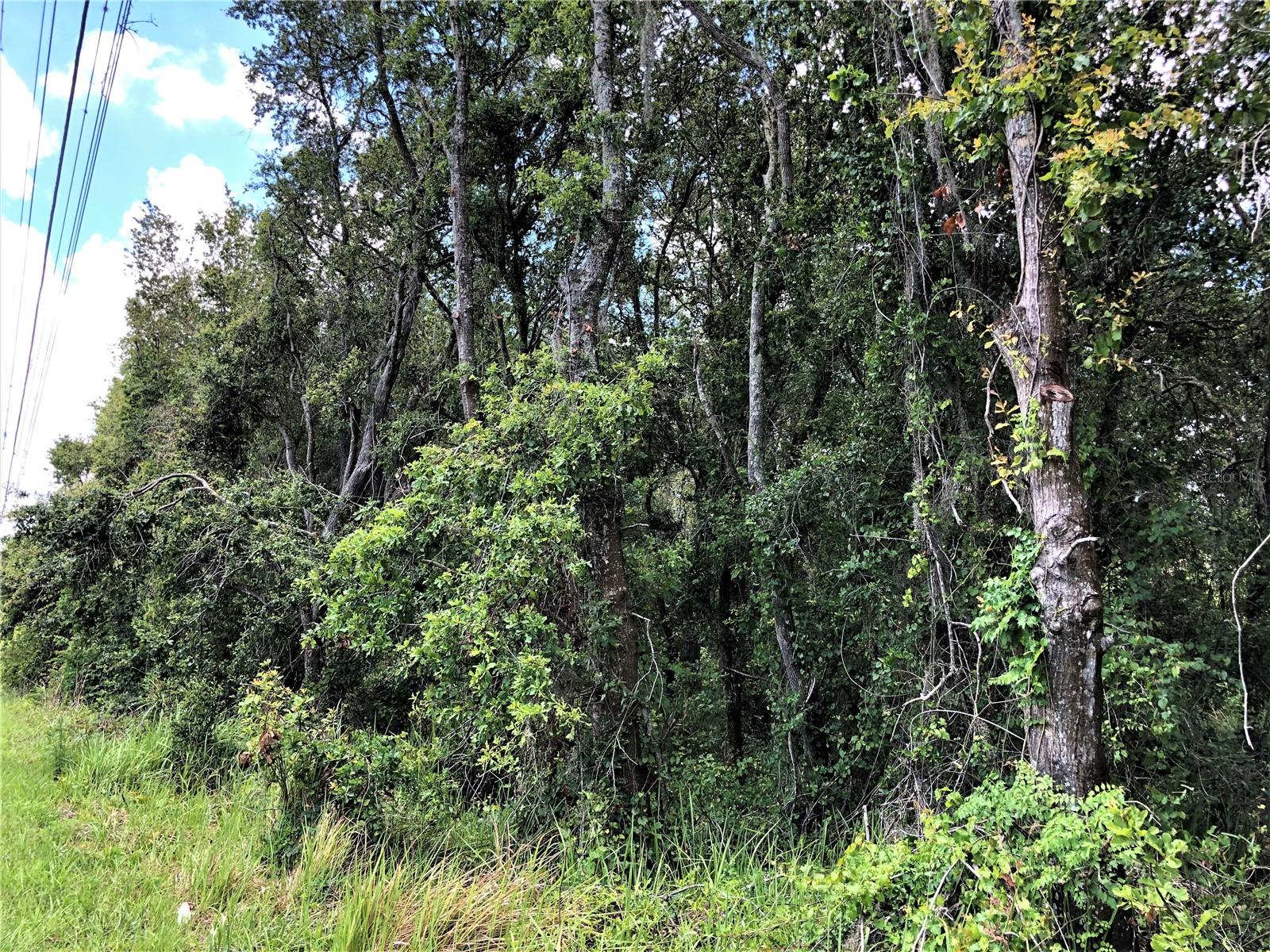 FASSON PLATTED SUB - Land