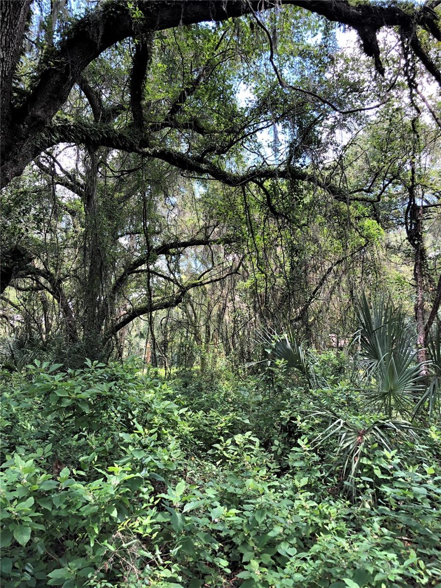 FASSON PLATTED SUB - Land