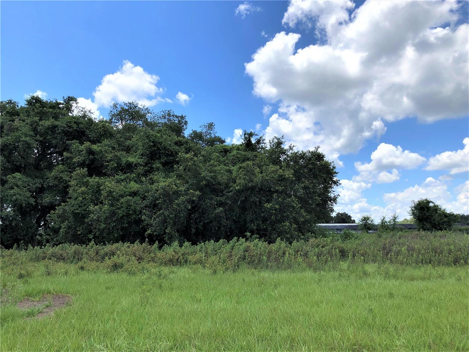 FASSON PLATTED SUB - Land