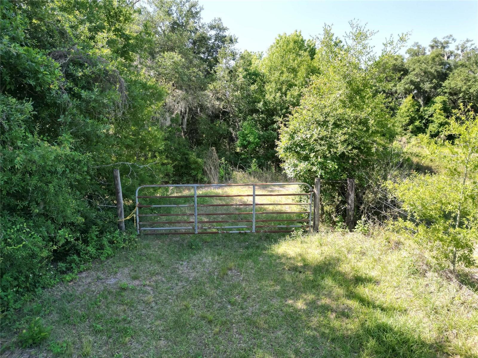 FASSON PLATTED SUB - Land