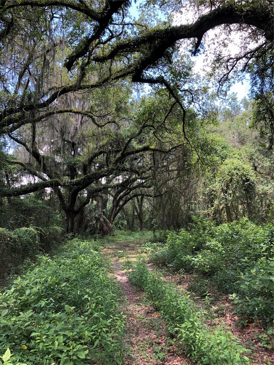 FASSON PLATTED SUB - Land