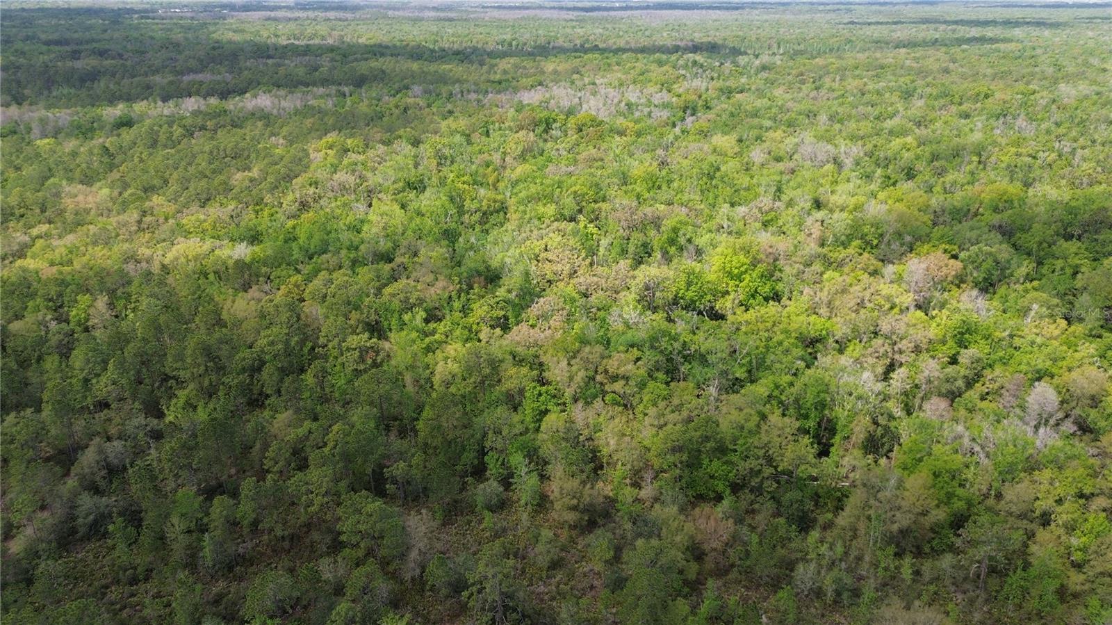 TAMPA DOWNS RANCHETTES UNREC - Land