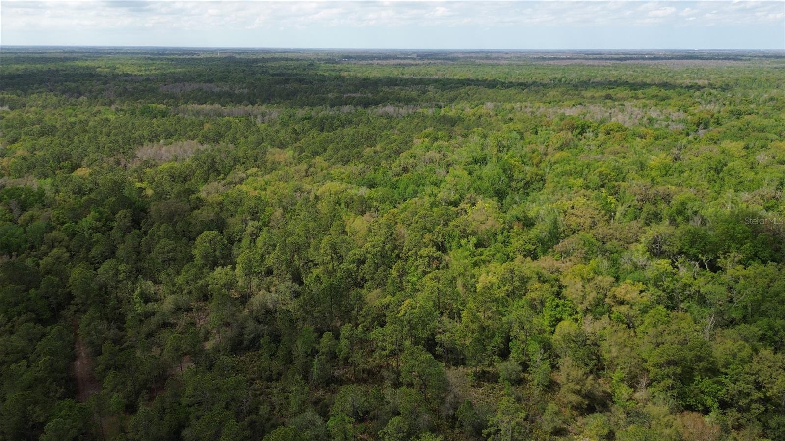 TAMPA DOWNS RANCHETTES UNREC - Land