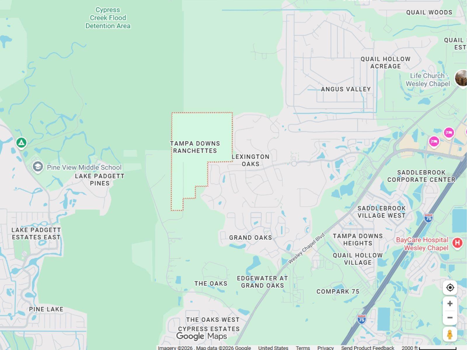 TAMPA DOWNS RANCHETTES UNREC - Land