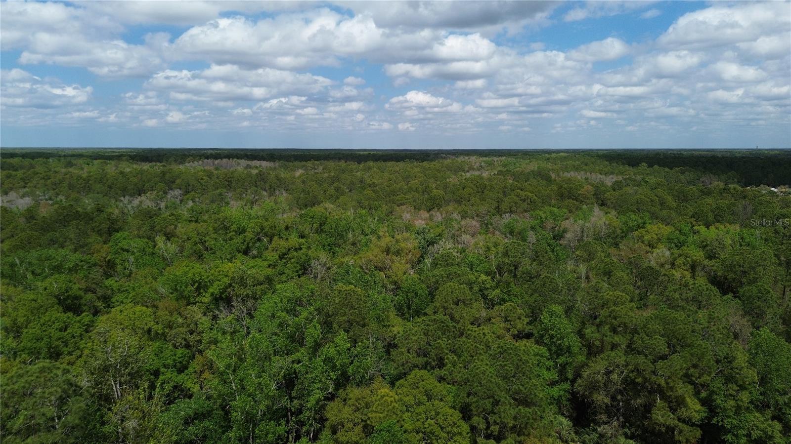 TAMPA DOWNS RANCHETTES UNREC - Land