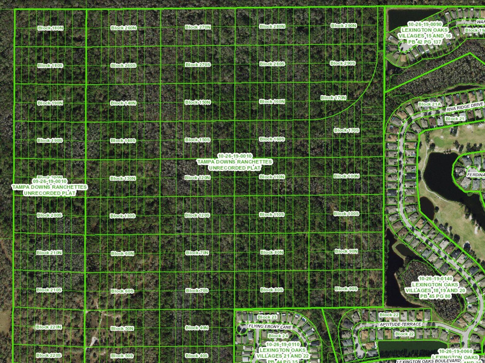 TAMPA DOWNS RANCHETTES UNREC - Land