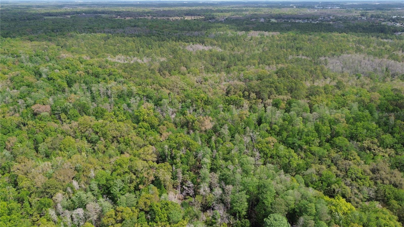 TAMPA DOWNS RANCHETTES UNREC - Land