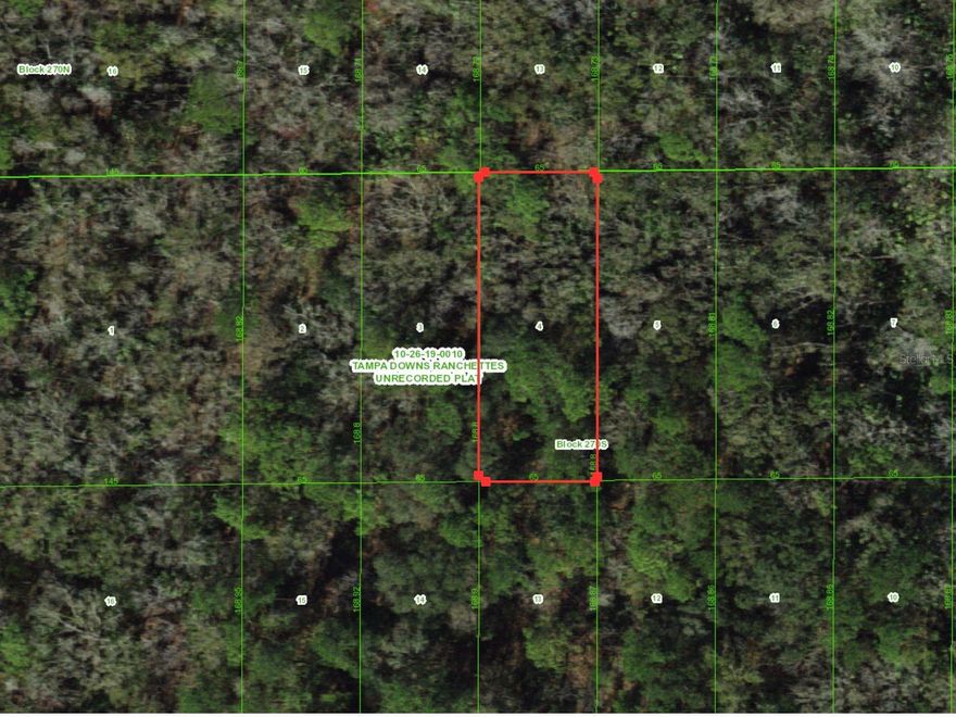 Rare opportunity in the Tampa Downs Ranchettes area of Wesley Chapel. Four consecutive vacant lots are available, each approximately 0.25 acres, with the option to purchase individually or together for a total of about 1 acre.

Located in a quiet, wooded setting in growing Pasco County, this property offers a natural environment while still within driving distance of shopping, dining, and major roadways.

Parcels are zoned Agricultural (AC) and are located within a flood zone, AE. Environmental mapping indicates wetlands may be present. The legal descriptions reference an ingress and egress easement; however, there are currently no constructed roads providing direct access to the lots. Buyers should conduct their own due diligence regarding wetlands, access improvements, and potential development requirements with the appropriate agencies.

Purchase one lot or secure all four for approximately 1 acre in this unique area.