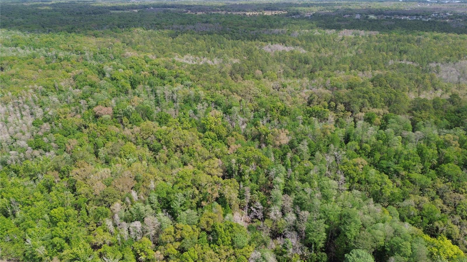 TAMPA DOWNS RANCHETTES UNREC - Land