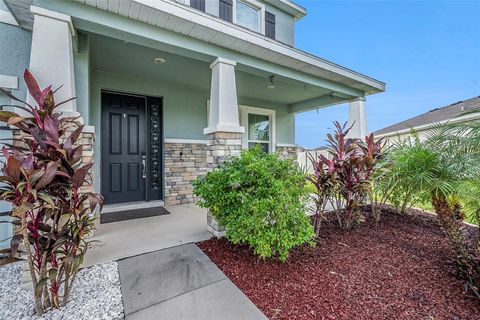 A home in WIMAUMA