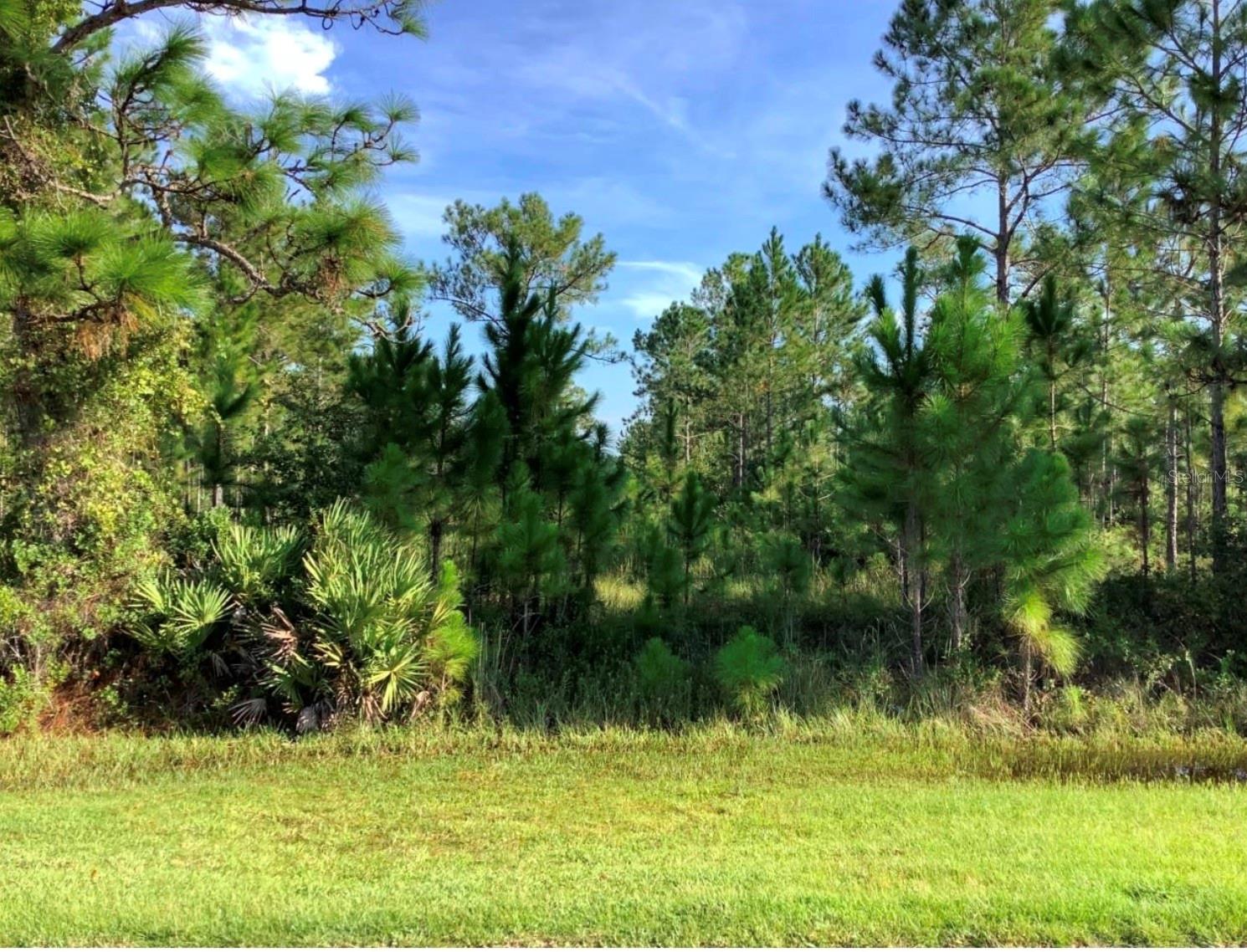 Build your dream home on this exceptional vacant lot in Wedgefield Cape Orlando Estates, one of East Orlando’s most sought-after communities! This expansive lot offers the perfect blend of privacy and natural beauty, nestled among custom-built homes and surrounded by serene Florida landscape. Enjoy the peace and space of country living with convenient access to major highways, the Orlando International Airport, Lake Nona Medical City, UCF, and the Space Coast beaches. Whether you’re looking to build now or invest for the future; this is an outstanding opportunity in a rapidly growing area. Don’t miss your chance to own a piece of paradise in Wedgefield!