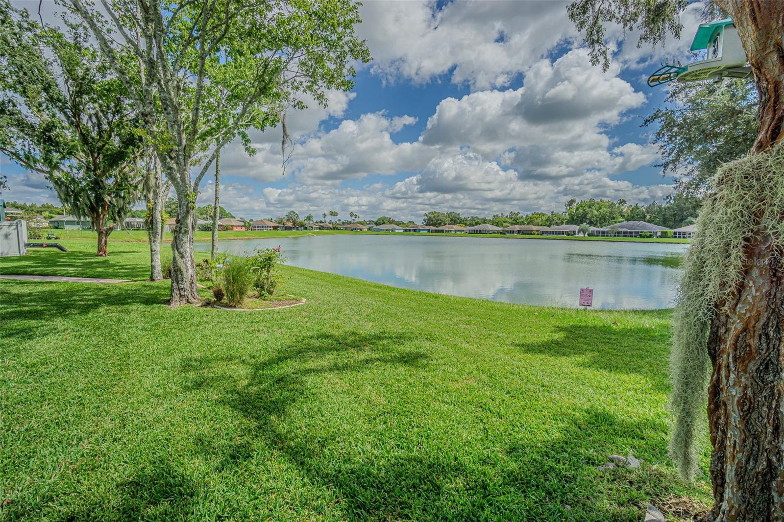TAMPA BAY GOLF AND TENNIS CLUB - Residential