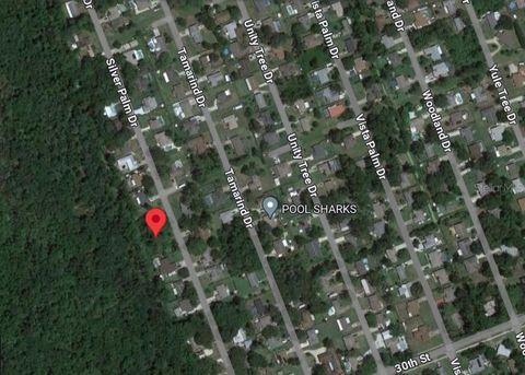 SILVER PALM DRIVE EDGEWATER FL 32141