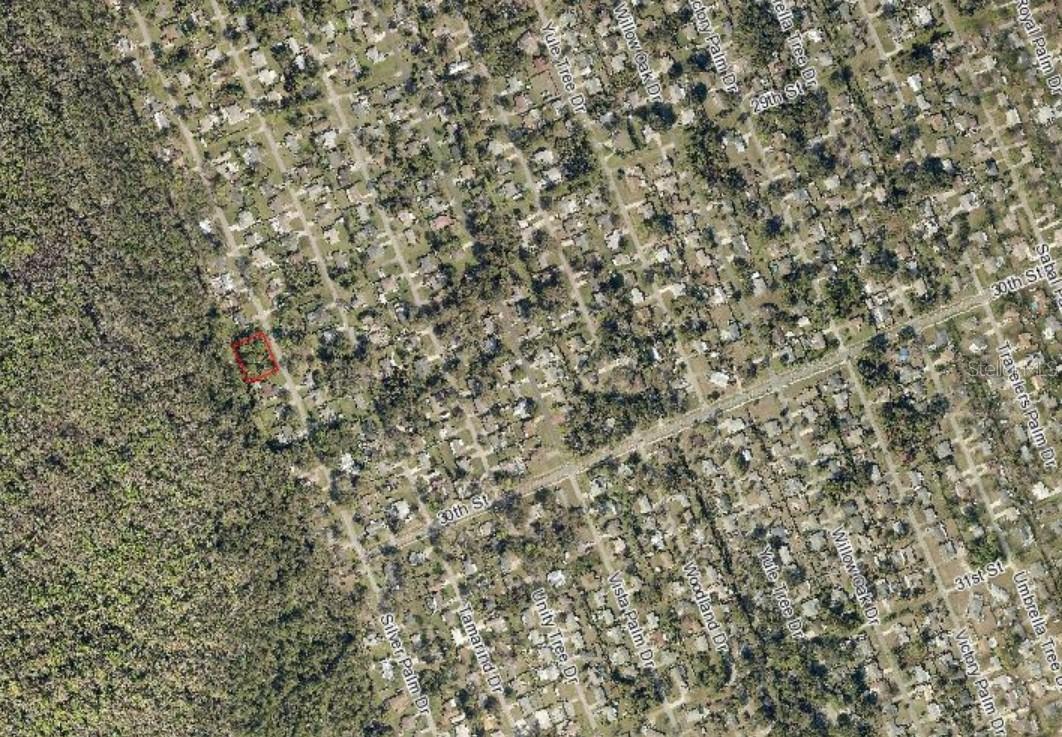 SILVER PALM DRIVE